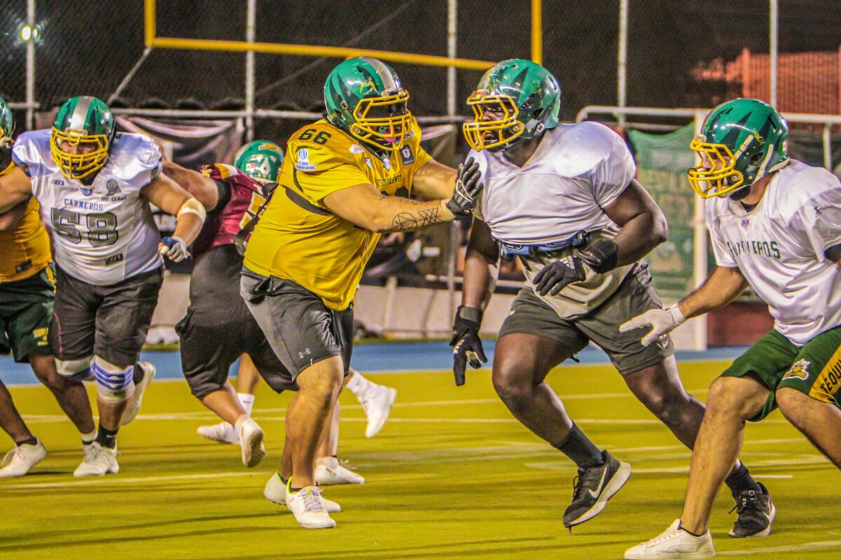 stingers concordia stoppés duo propulsé laval